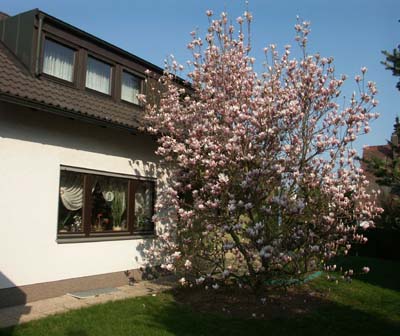 Ferienwohnung Magnolie